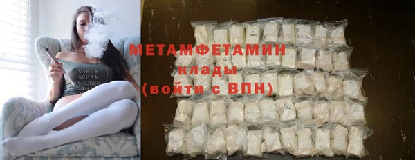 прущие грибы Гусиноозёрск