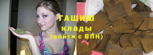 хмурый Гусь-Хрустальный