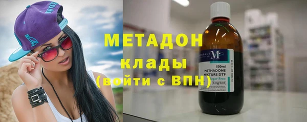 прущие грибы Гусиноозёрск