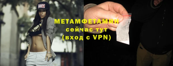 PSILOCYBIN Горняк