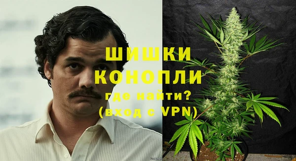 хмурый Гусь-Хрустальный