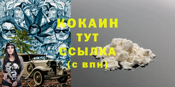 PSILOCYBIN Горняк