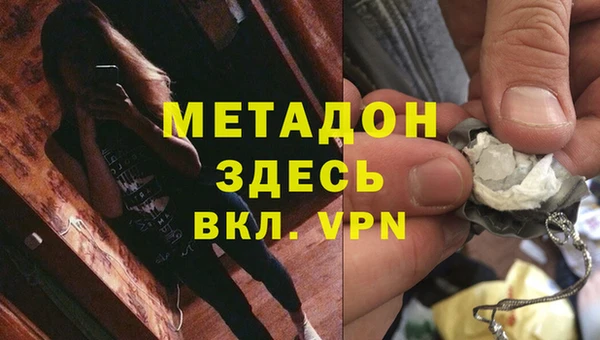 прущие грибы Гусиноозёрск