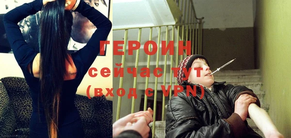 прущие грибы Гусиноозёрск