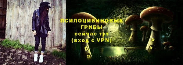 прущие грибы Гусиноозёрск