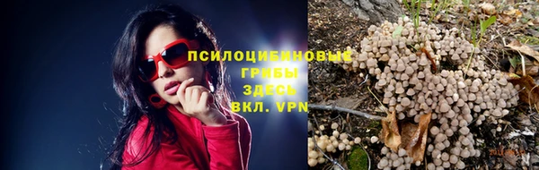 прущая мука Горно-Алтайск