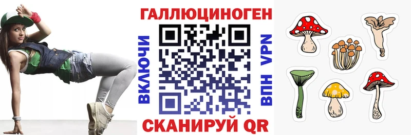 Купить  Бирюсинск  Галлюциногенные грибы MAGIC MUSHROOMS 